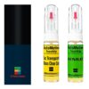Kit retus vopsea touch-up Renault Captur RXNH (Comb. of K44/GNE)