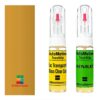 Kit retus vopsea touch-up Renault Clio R377:95 (Jaune Tournesol)