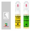 Kit retus vopsea touch-up Renault Espace R9658 (Bleu Lumiere Camaieux)