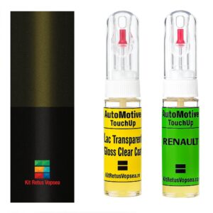 Kit retus vopsea touch-up Renault Kaptur RXTQ (Comb. of DNP / 676) ,RXTQ, XTQ, BIXTQ