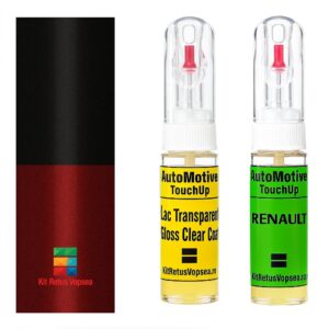 Kit retus vopsea touch-up Renault Kaptur RXVQ (Comb. of NPI / 676) ,RXVQ, XVQ, BIXVQ