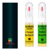 Kit retus vopsea touch-up Aston Martin Rapide AM9600 (Emerald Green)