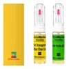 Kit retus vopsea touch-up Renault Trafic R387 (Jaune)