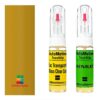 Kit retus vopsea touch-up Renault Trafic R396 (Jaune Citron)