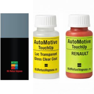 Kit corector vopsea cu pensula Renault 4 E-Tech RYZE (Comb. of RQZ / 694) ,RYZE, YZE, BIYZE