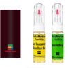 Kit corector vopsea cu pensula Bentley Azure BEN3001 (Burgundy)