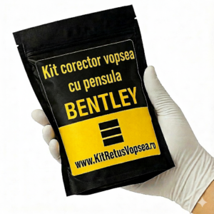 Kit corector vopsea cu pensula Bentley Azure BEN8001 (Magnolia)