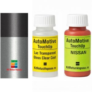 Kit corector vopsea cu pensula Nissan Cefiro NISTE1M (Comb. of BKW5/KD1M), TE1M