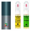 Kit retus vopsea touch-up Nissan Civilian NIS2N2 (Comb. of BG2/BG6)