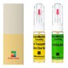 Kit retus vopsea touch-up Nissan Civilian NIS3M7 (Comb. of KG5/EH2)