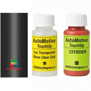 Kit corector vopsea cu pensula Citroen DS3 ACEVL (Platinum Grey), ACEVL, EVL, M0VL, 0MM00NVL, VL, G40, NVL, 0NVL, INDACEVL, P0SD