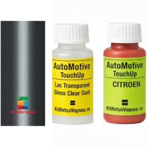 Kit corector vopsea cu pensula Citroen DS N°8 ACEGG (Grigio Evoluzione), M0GG, ACEGG, EGG, GG