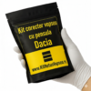 Kit corector vopsea cu pensula Dacia Dokker DAC369 (Blanc Glacier)