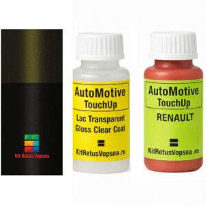 Kit corector vopsea cu pensula Renault Kaptur RXTQ (Comb. of DNP / 676) ,RXTQ, XTQ, BIXTQ