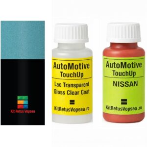 Kit corector vopsea cu pensula Nissan Leaf NISXBN (Comb. of B41/KH3), NISXBN, XBN
