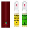 Kit retus vopsea touch-up Nissan NV200 NISNAC (New Red)