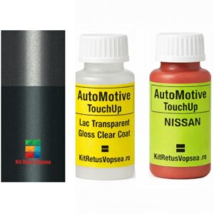 Kit corector vopsea cu pensula Nissan Patrol NIS2Y0 (Comb. of DL0/WV2), NIS2Y0, 2Y0