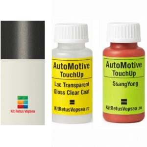 Kit corector vopsea cu pensula SsangYong Rexton SSY0015 (Comb. of WAA/ABB) ,SSY0015, NWA