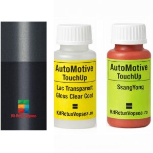 Kit corector vopsea cu pensula SsangYong Rexton SSY0026 (Comb. of PAD/ABN) ,SSY0026, PAD