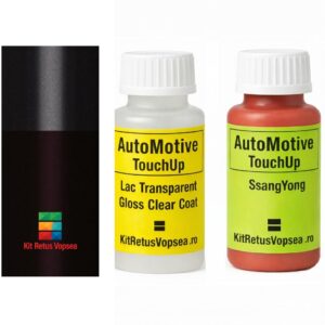 Kit corector vopsea cu pensula SsangYong Rexton SSY0029 (Comb. of WAB/ABK) ,SSY0029, WAB