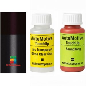 Kit corector vopsea cu pensula SsangYong Rexton SSY0045 (Comb. of WAD/ABK) ,SSY0045, BYD