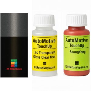Kit corector vopsea cu pensula SsangYong Rodius SSY0039 (Comb. of KAA/ABG) ,SSY0039, BKA