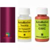 Kit corector vopsea cu pensula GMC S-15 GMC93:85 (Raspberry)