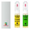 Kit retus vopsea touch-up GMC Savana GMC9753P (Brt. White)