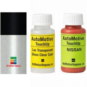 Kit corector vopsea cu pensula Nissan Serena NISXKT (Comb. of QBE/G41), NISXKT, XKT