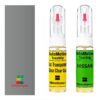Kit retus vopsea touch-up Nissan Skyline NISK02-T2 (Grey)