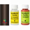 Kit corector vopsea cu pensula Citroen SpaceTourer ACKCM (Rich Oak)