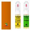 Kit retus vopsea touch-up Nissan Vanette NIS97A (Orange)