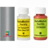 Kit corector vopsea cu pensula Citroen Xantia AC9087 (Gris)